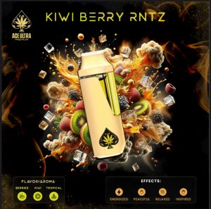Ace Ultra Premium Disposable Kiwi Berry Rntz | Premium All-in-One