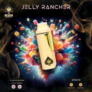 Ace Disposable Jelly Rancher Flavor | Premium All-in-One Vape