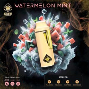 Ace 2G Watermelon Mint Disposable Vape | Sweet Watermelon & Cool Mint Flavor