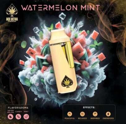 Ace 2G Watermelon Mint Disposable Vape | Sweet Watermelon & Cool Mint Flavor