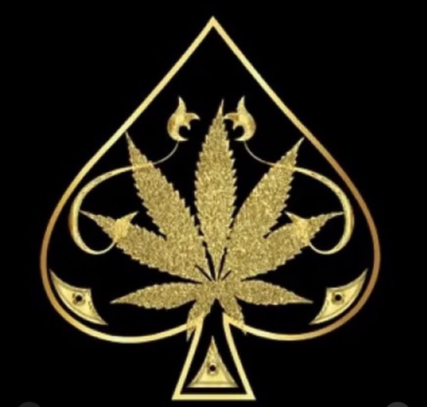 aceultrahub.com