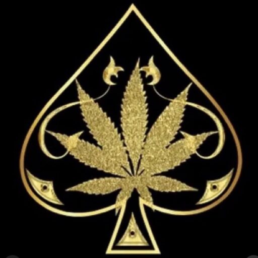 aceultrahub.com
