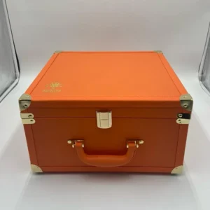 Ace Ultra Orange Edition 100pcs | Wholesale 2g Disposables Master Case